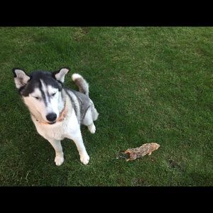 Meet your Posher, Syd